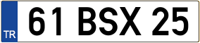 Truck License Plate